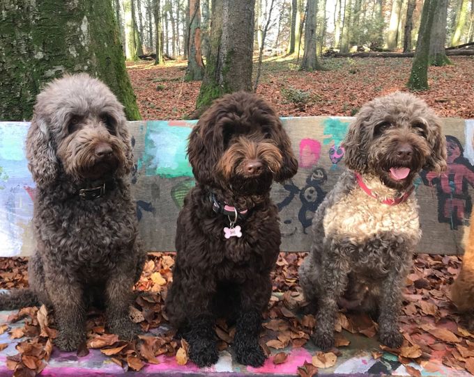 Emma, Charlottes Schwester, Clea und Charlotte